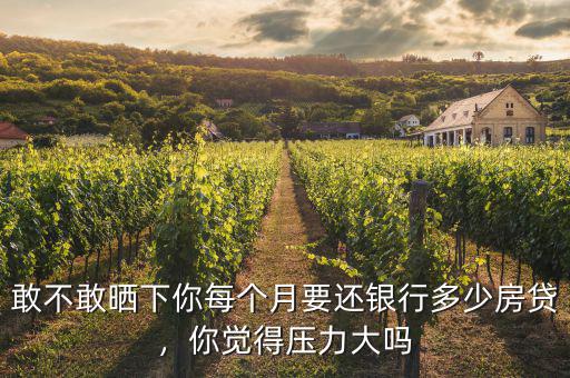 敢不敢曬下你每個(gè)月要還銀行多少房貸，你覺得壓力大嗎