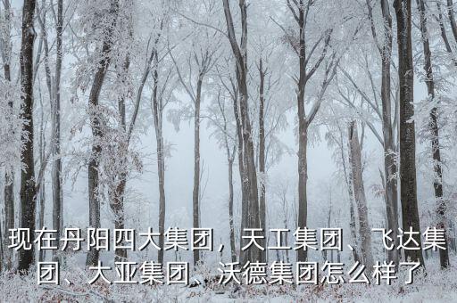 現(xiàn)在丹陽四大集團，天工集團、飛達(dá)集團、大亞集團、沃德集團怎么樣了