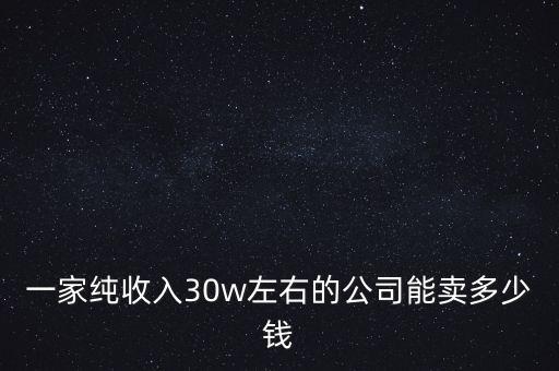 一家純收入30w左右的公司能賣(mài)多少錢(qián)