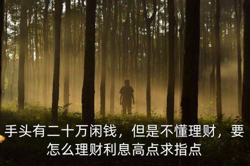 手頭有二十萬閑錢，但是不懂理財，要怎么理財利息高點求指點