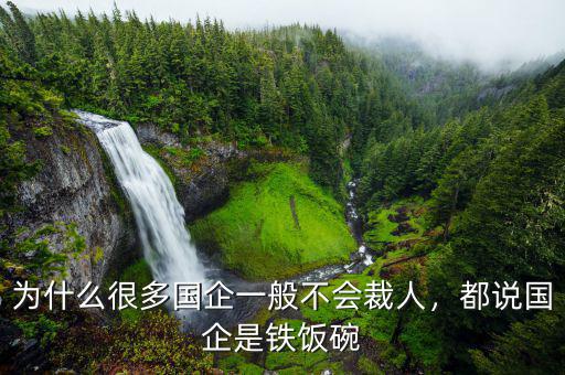 為什么很多國企一般不會裁人，都說國企是鐵飯碗