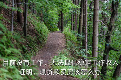 目前沒(méi)有工作，無(wú)法提供穩(wěn)定工作收入證明，想貸款買(mǎi)房該怎么辦