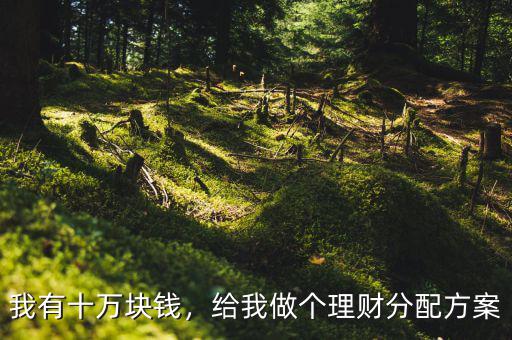 我有十萬塊錢，給我做個理財分配方案