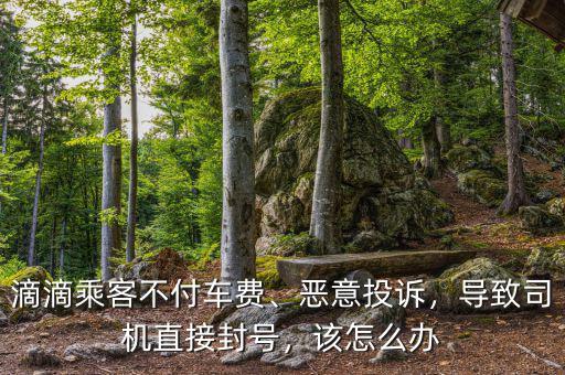 滴滴乘客不付車費(fèi)、惡意投訴，導(dǎo)致司機(jī)直接封號，該怎么辦