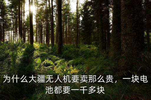 為什么大疆無(wú)人機(jī)要賣(mài)那么貴，一塊電池都要一千多塊