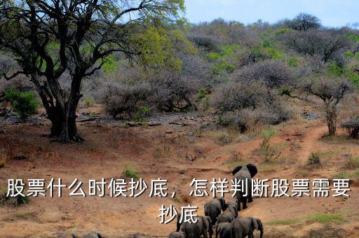 股票什么時(shí)候抄底，怎樣判斷股票需要抄底