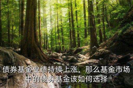 債券基金業(yè)績持續(xù)上漲，那么基金市場中的債券基金該如何選擇