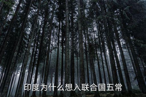 為什么印度想入常,印度為什么想入聯合國五常