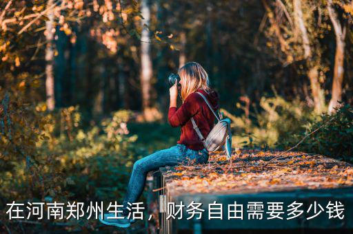 在河南鄭州生活，財務自由需要多少錢