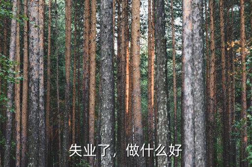 失業(yè)了，做什么好