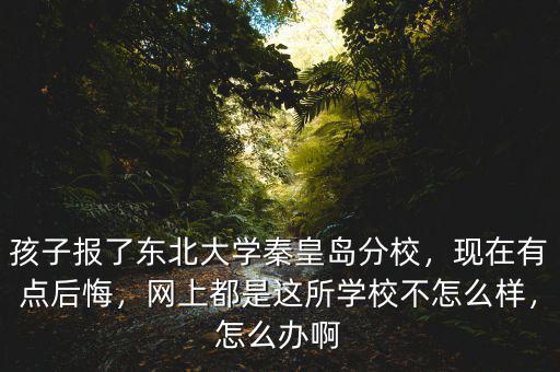 孩子報(bào)了東北大學(xué)秦皇島分校，現(xiàn)在有點(diǎn)后悔，網(wǎng)上都是這所學(xué)校不怎么樣，怎么辦啊