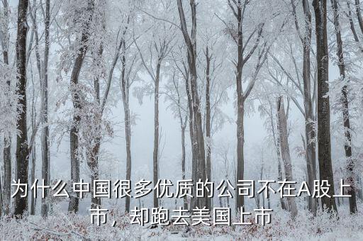 不盈利為什么能在美國上市,卻在美國上市。為什么