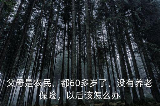 父母是農(nóng)民，都60多歲了，沒有養(yǎng)老保險(xiǎn)，以后該怎么辦