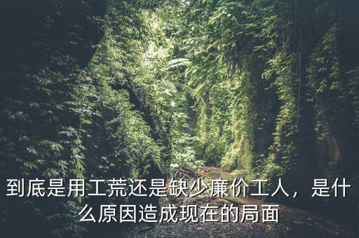 到底是用工荒還是缺少廉價工人，是什么原因造成現在的局面