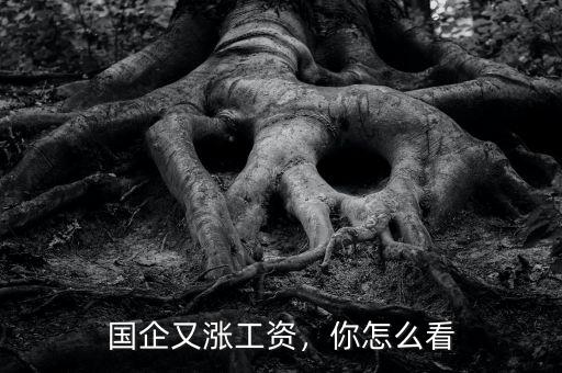 國企又漲工資，你怎么看