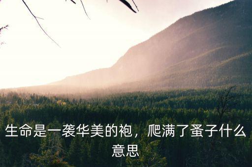 生命是一襲華美的袍，爬滿了蚤子什么意思