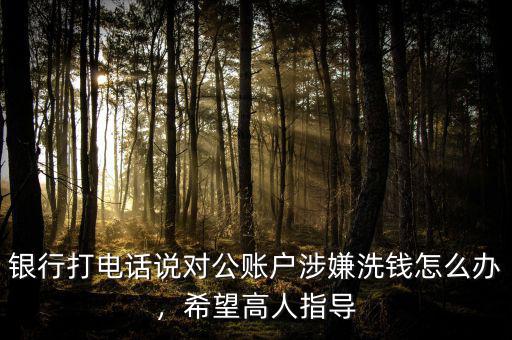 銀行打電話說對公賬戶涉嫌洗錢怎么辦，希望高人指導(dǎo)