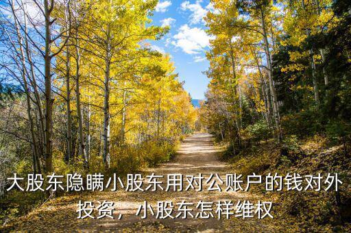 大股東隱瞞小股東用對(duì)公賬戶的錢(qián)對(duì)外投資，小股東怎樣維權(quán)