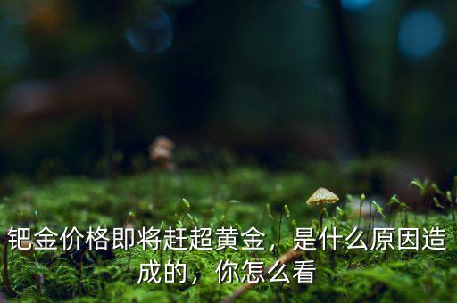鈀金價格即將趕超黃金，是什么原因造成的，你怎么看