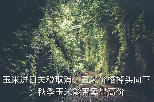 玉米進口關(guān)稅取消，玉米價格掉頭向下；秋季玉米能否賣出高價