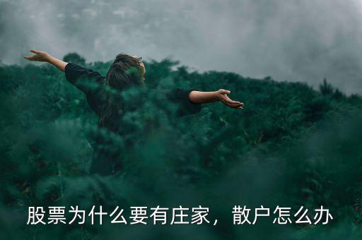 股票為什么要有莊家，散戶怎么辦