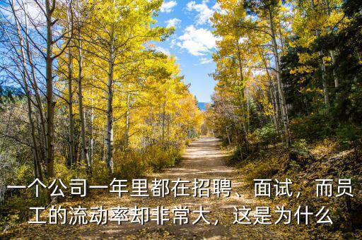 一個(gè)公司一年里都在招聘、面試，而員工的流動(dòng)率卻非常大，這是為什么