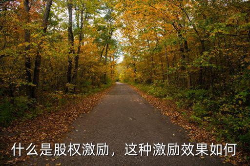 什么是股權(quán)激勵，這種激勵效果如何