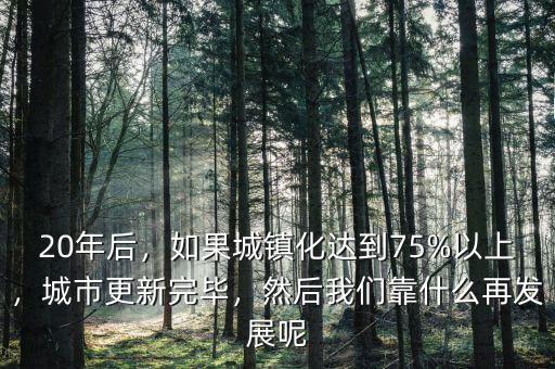 20年后，如果城鎮(zhèn)化達到75%以上，城市更新完畢，然后我們靠什么再發(fā)展呢