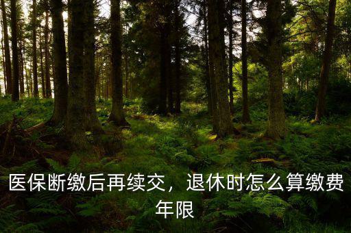醫(yī)保斷繳后再續(xù)交，退休時(shí)怎么算繳費(fèi)年限