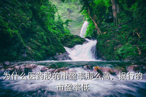 為什么醫(yī)藥股的市盈率那么高，銀行的市盈率低