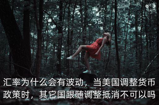 匯率為什么會有波動，當美國調(diào)整貨幣政策時，其它國跟隨調(diào)整抵消不可以嗎