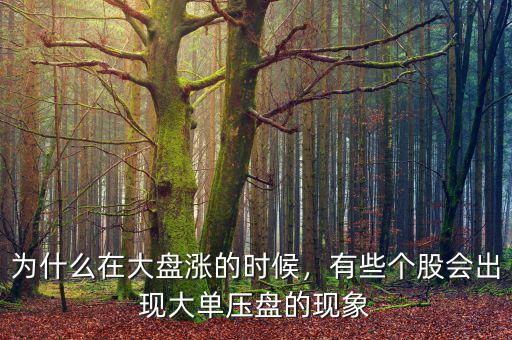 為什么在大盤漲的時(shí)候，有些個(gè)股會(huì)出現(xiàn)大單壓盤的現(xiàn)象