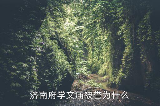 濟(jì)南文廟男女開筆禮有什么區(qū)別,濟(jì)南府學(xué)文廟被譽為什么
