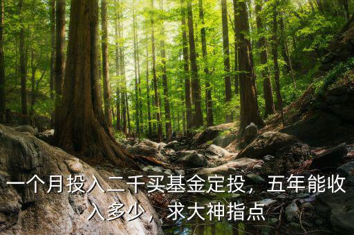 一個(gè)月投入二千買基金定投，五年能收入多少，求大神指點(diǎn)