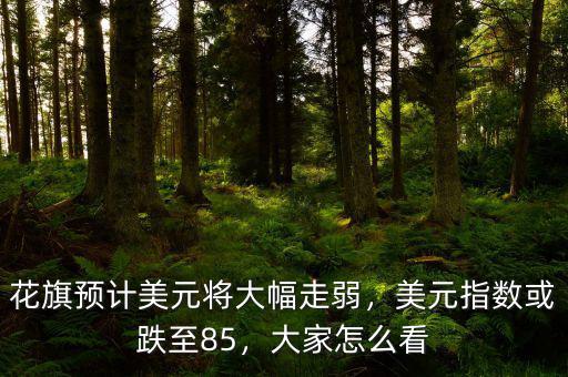 花旗預(yù)計(jì)美元將大幅走弱，美元指數(shù)或跌至85，大家怎么看