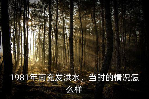 1981年南充發(fā)洪水，當(dāng)時的情況怎么樣