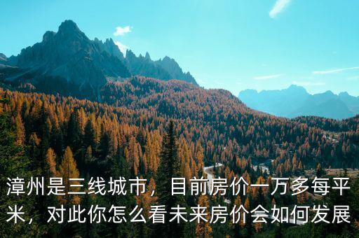 漳州是三線城市，目前房價一萬多每平米，對此你怎么看未來房價會如何發(fā)展