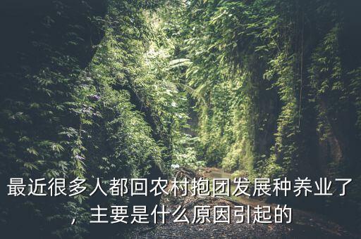 最近很多人都回農(nóng)村抱團(tuán)發(fā)展種養(yǎng)業(yè)了，主要是什么原因引起的
