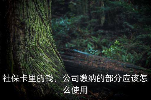 公司交的社保怎么用,社?？ɡ锏腻X