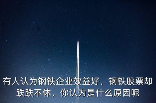 有人認(rèn)為鋼鐵企業(yè)效益好，鋼鐵股票卻跌跌不休，你認(rèn)為是什么原因呢