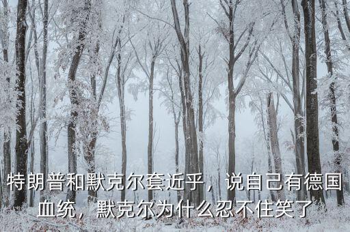 特朗普和默克爾套近乎，說(shuō)自己有德國(guó)血統(tǒng)，默克爾為什么忍不住笑了