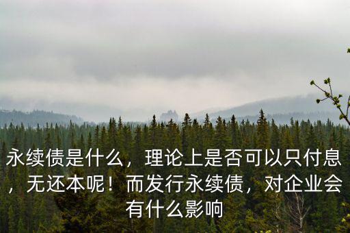 永續(xù)債是什么，理論上是否可以只付息，無還本呢！而發(fā)行永續(xù)債，對企業(yè)會有什么影響