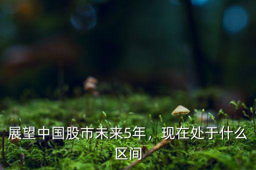 展望中國股市未來5年，現(xiàn)在處于什么區(qū)間