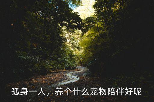 孤身一人，養(yǎng)個(gè)什么寵物陪伴好呢