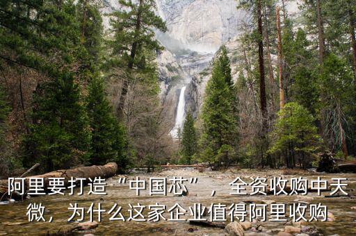 阿里要打造“中國芯”，全資收購中天微，為什么這家企業(yè)值得阿里收購
