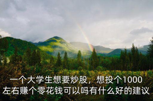 一個大學(xué)生想要炒股，想投個1000左右賺個零花錢可以嗎有什么好的建議