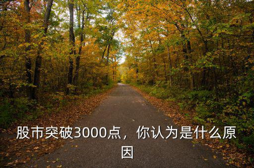 股市突破3000點(diǎn)，你認(rèn)為是什么原因
