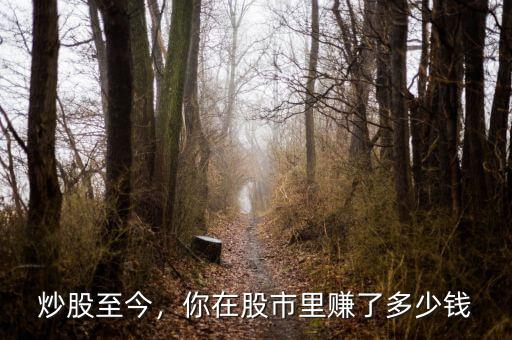 炒股至今，你在股市里賺了多少錢