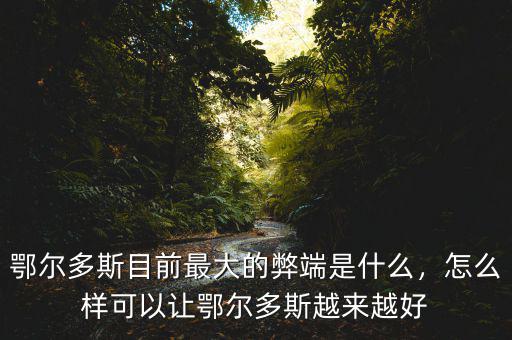 鄂爾多斯目前最大的弊端是什么，怎么樣可以讓鄂爾多斯越來(lái)越好