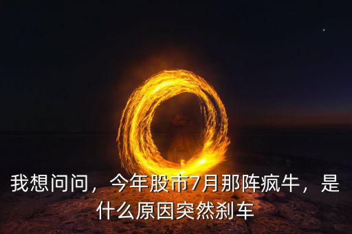 我想問(wèn)問(wèn)，今年股市7月那陣瘋牛，是什么原因突然剎車